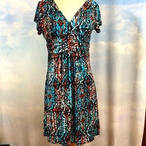 Christopher & Banks Dress Size PM